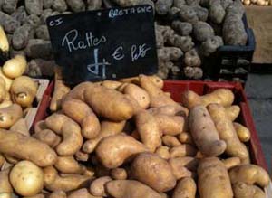 ratte potatoes from market