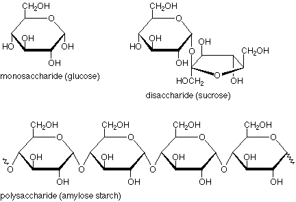 structure of monosaccharide, disaccharide and polysaccharide