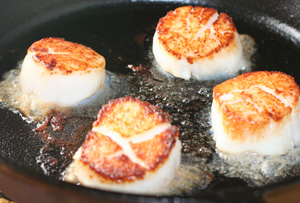 caramelized seared scallops 