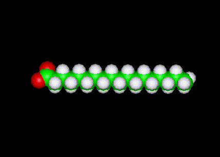 stearic acid molecule