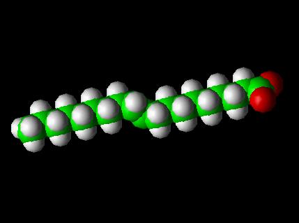 trans fat elaidic acid