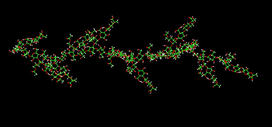 molecule of xanthan gum