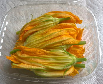 union square  zucchini flower